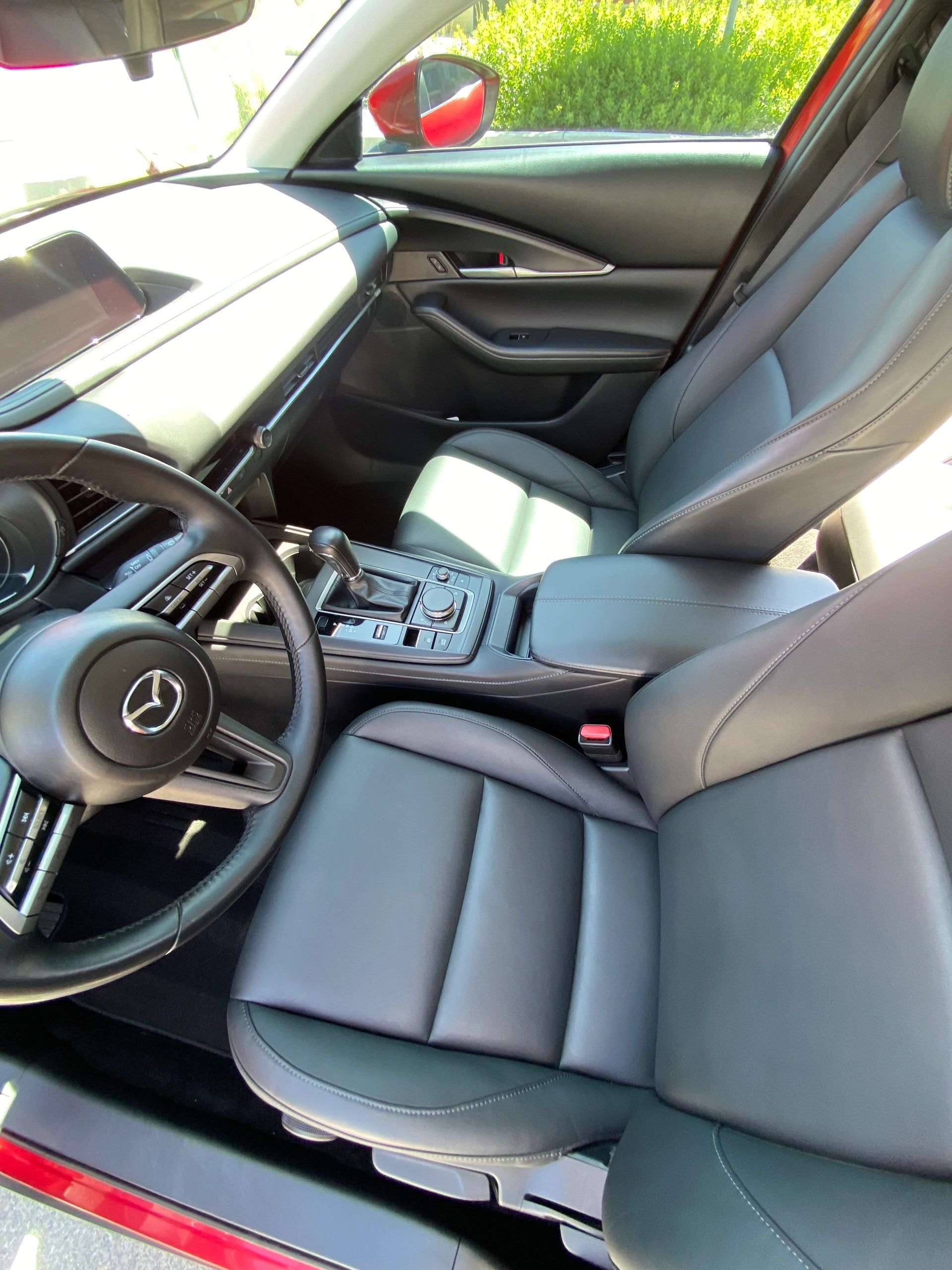 Platinum detail package — full restoration, leather conditioning, odor removal, 60-day wax protection